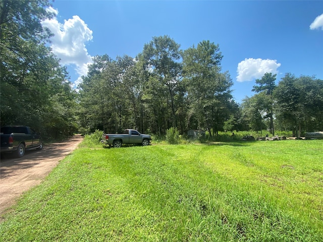 Listing photo 3 for 0 Sycamore Ln, Plantersville TX 77363