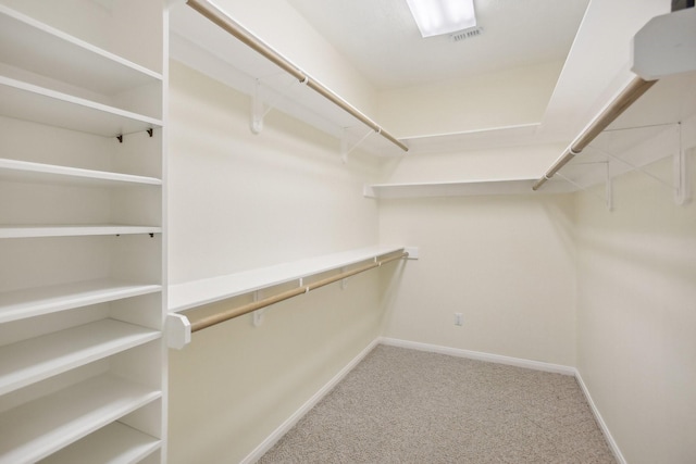 walk in closet featuring carpet floors