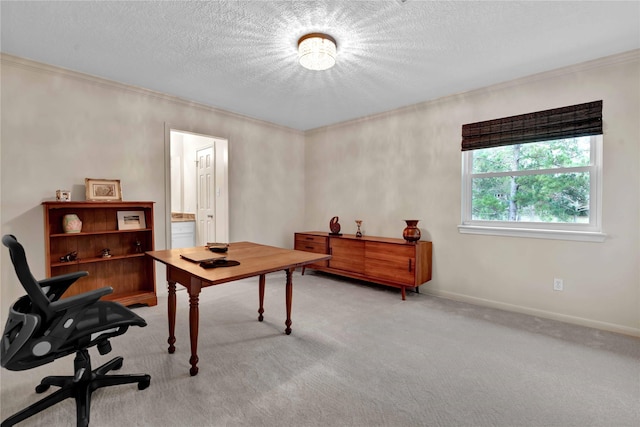 office area with ornamental molding, light carpet, and a textured ceiling