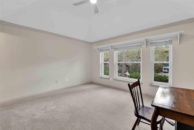 unfurnished office featuring a wealth of natural light, lofted ceiling, light colored carpet, and ceiling fan