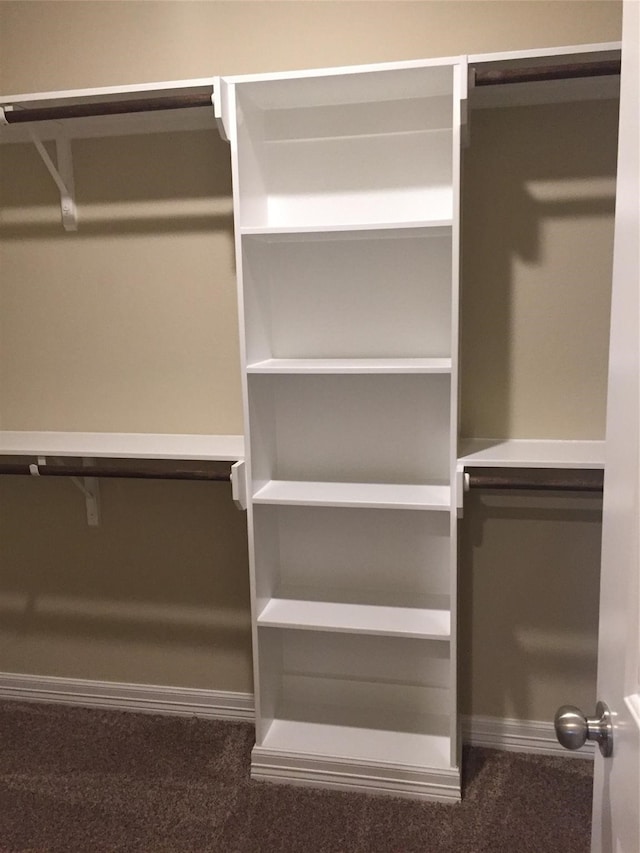 spacious closet featuring carpet flooring