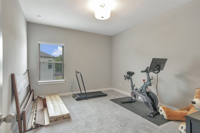 exercise room featuring carpet flooring