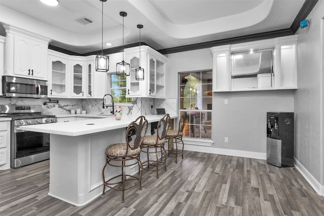 kitchen featuring white cabinetry, a raised ceiling, and stainless steel appliances