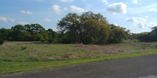 Listing photo 3 for 325 John Price, Blanco TX 78606