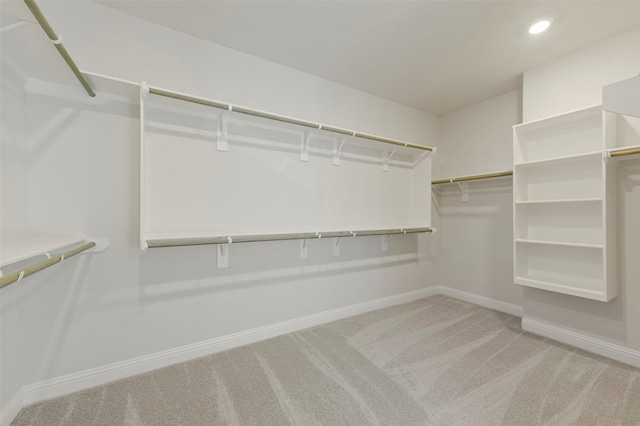 spacious closet featuring carpet