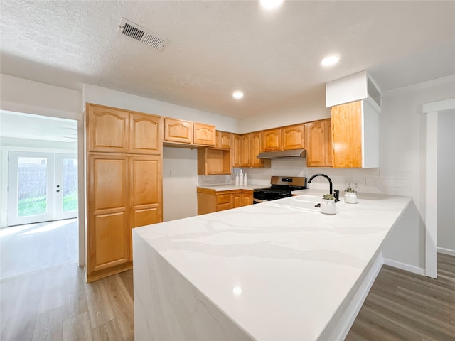 kitchen featuring a textured ceiling, light hardwood / wood-style flooring, stainless steel stove, tasteful backsplash, and sink