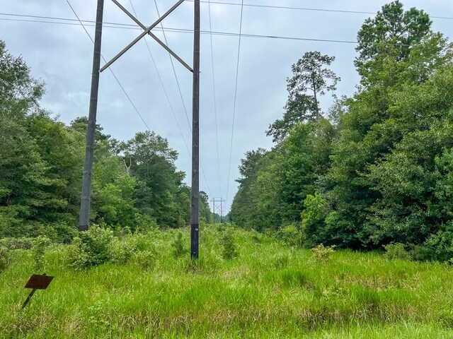 Listing photo 3 for 0 US Highway 96, Kirbyville TX 75956