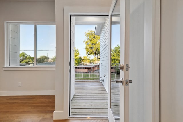 entryway featuring wood-type flooring