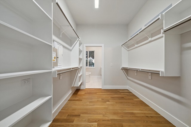 spacious closet featuring light hardwood / wood-style flooring