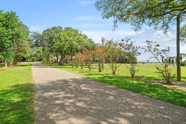 view of property's community with a lawn