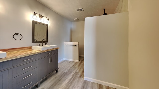 bathroom featuring wood-type flooring and vanity