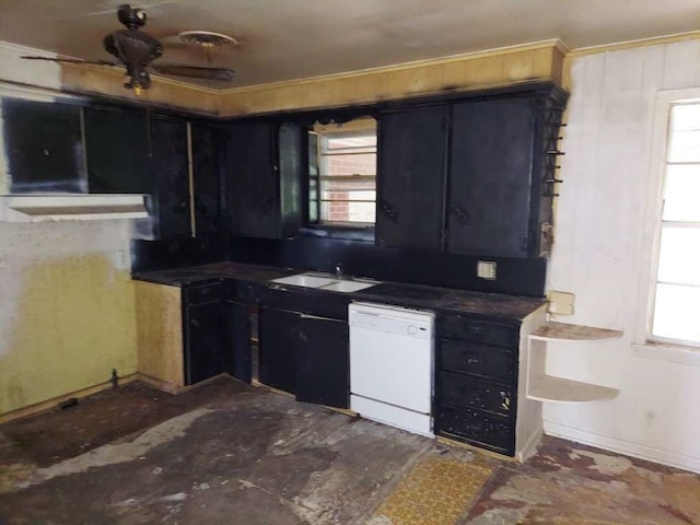 kitchen with dishwasher and sink