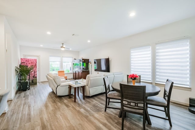 dining room with light hardwood / wood-style floors and ceiling fan