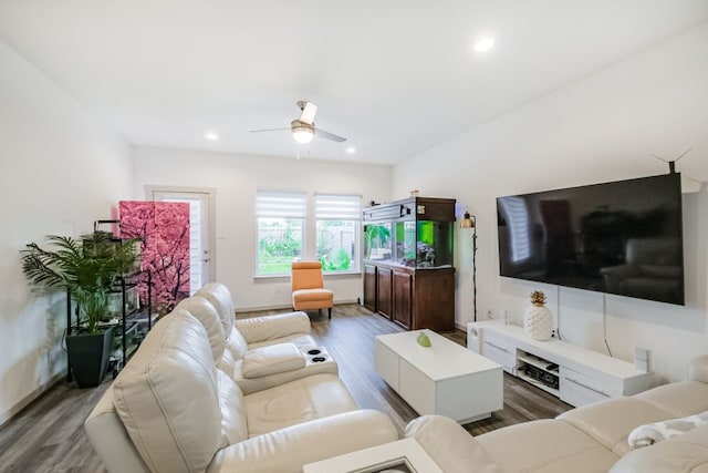 living room featuring ceiling fan and hardwood / wood-style flooring