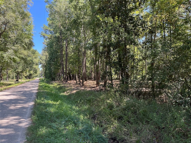 0 County Road 3812, Cleveland TX, 77328 land for sale