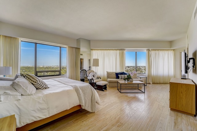 bedroom with light wood finished floors and multiple windows