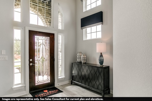 entryway featuring a high ceiling, light hardwood / wood-style flooring, and plenty of natural light