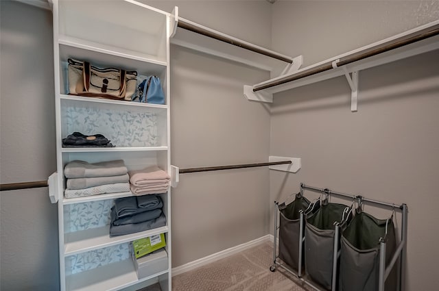 walk in closet featuring carpet