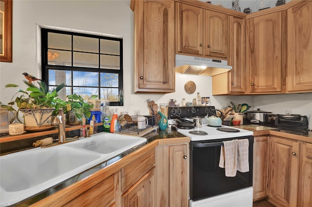 kitchen with electric range and sink