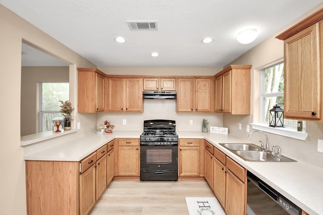 kitchen with sink, light hardwood / wood-style flooring, and black appliances