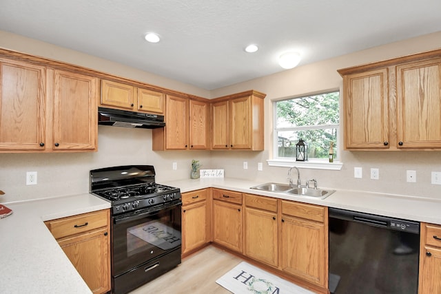 kitchen featuring light hardwood / wood-style floors, black appliances, and sink