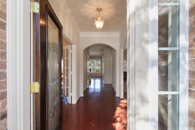 corridor featuring dark wood-type flooring and ornamental molding