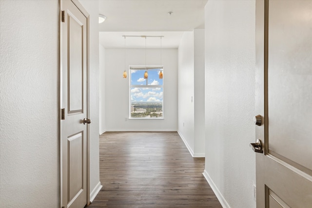 corridor featuring hardwood / wood-style floors