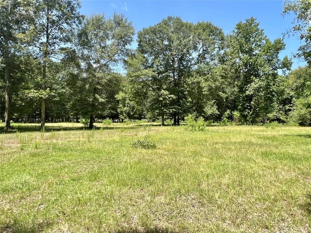 TBD County Road 2300n, Cleveland TX, 77327 land for sale