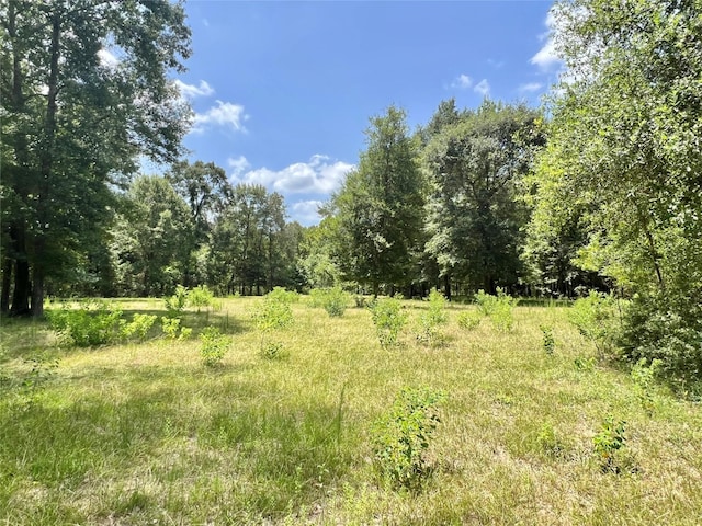 Listing photo 2 for TBD County Road 2300n, Cleveland TX 77327