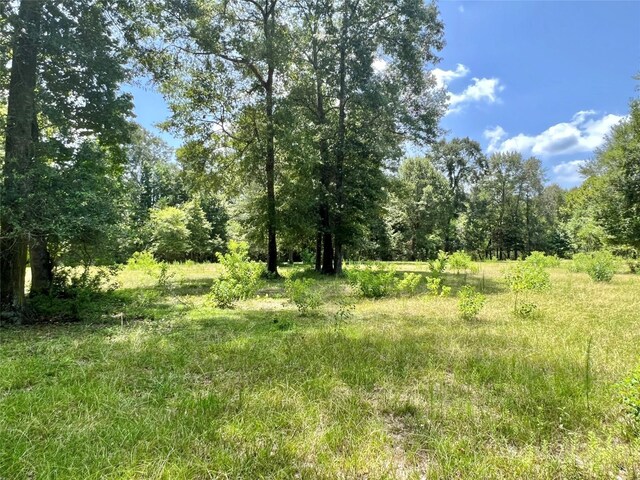 TBD County Road 2300n, Cleveland, TX 77327 - photo 12
