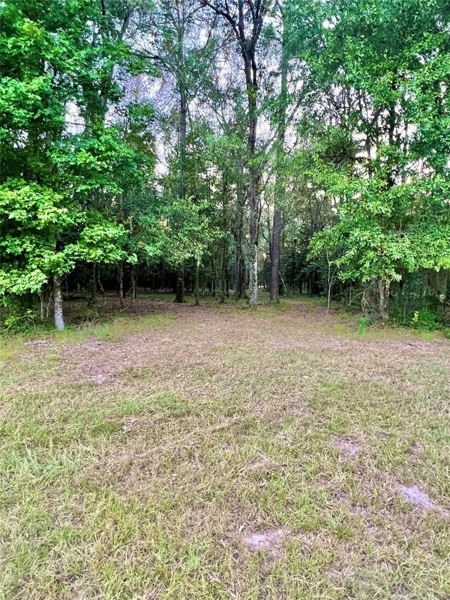 TBD County Road 2300n, Cleveland, TX 77327 - photo 13