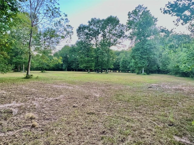 TBD County Road 2300n, Cleveland, TX 77327 - photo 14