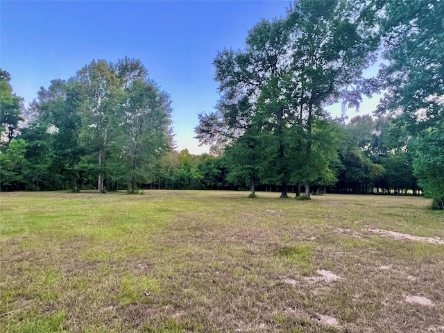 TBD County Road 2300n, Cleveland, TX 77327 - photo 15