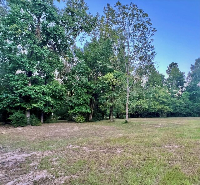 TBD County Road 2300n, Cleveland, TX 77327 - photo 16