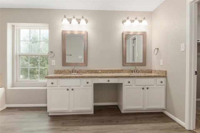 bathroom with double vanity, a sink, and wood finished floors