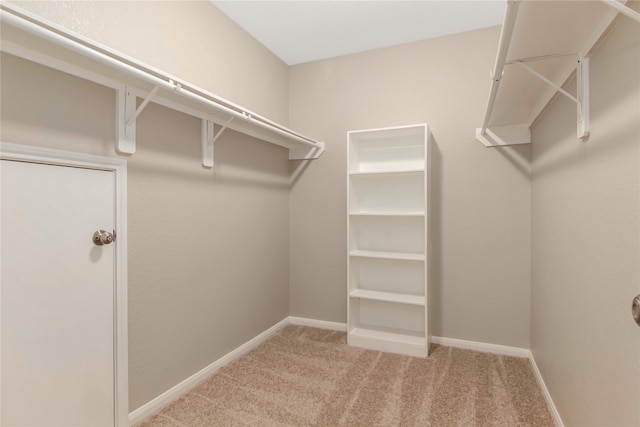 walk in closet with light carpet