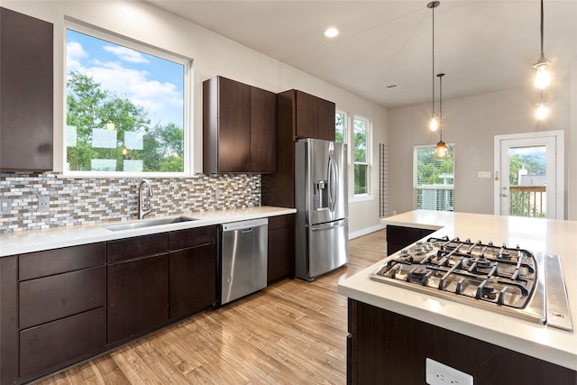 kitchen with sink, dark brown cabinetry, pendant lighting, appliances with stainless steel finishes, and light hardwood / wood-style floors