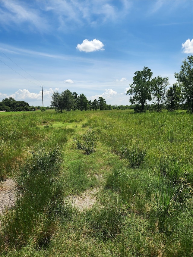 Listing photo 3 for 0 E Stroker Rd, Crosby TX 77532