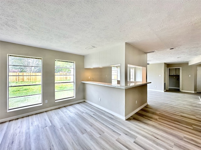 interior space featuring light wood-type flooring, a wealth of natural light, and a textured ceiling