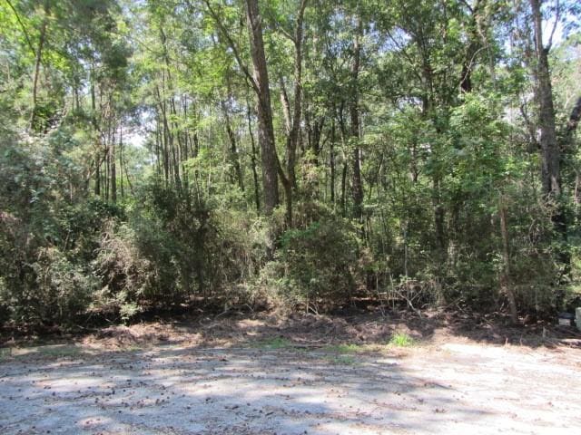 Listing photo 3 for TBD Pine Valley, Huntsville TX 77320