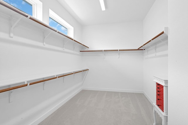 spacious closet with light carpet