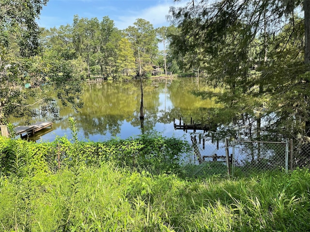 view of water feature with a dock