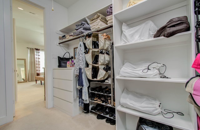 walk in closet with light colored carpet