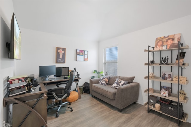 office featuring wood-type flooring