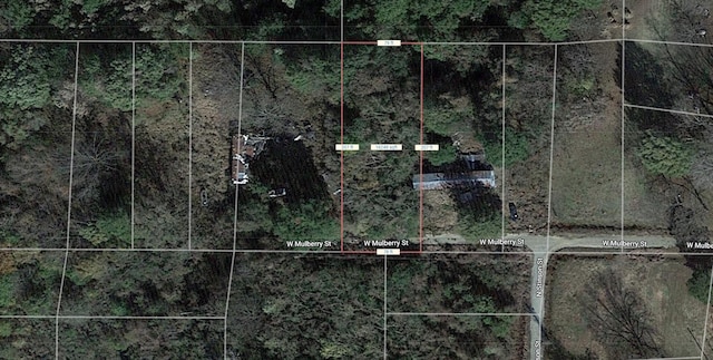 Listing photo 3 for LOT12 W Mulberry St, AR 71638