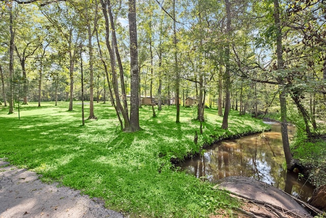 view of home's community with a yard