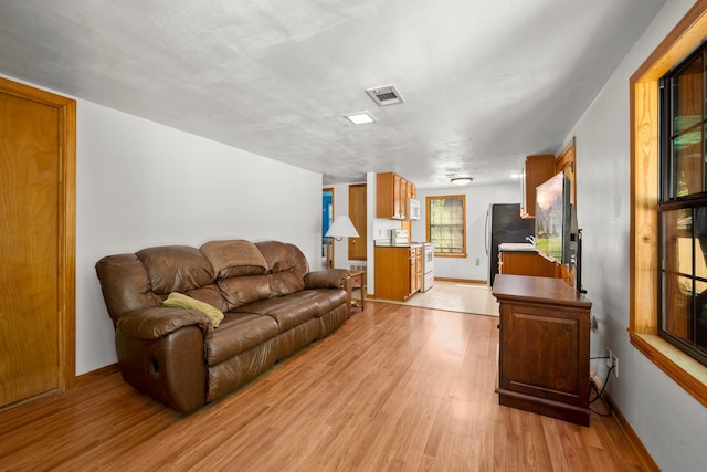 living room featuring light hardwood / wood-style flooring and a textured ceiling