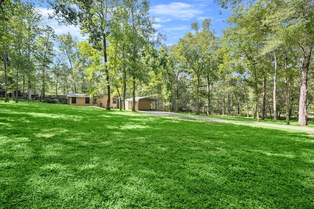 view of yard featuring a carport