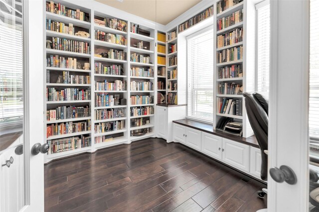 sitting room featuring dark hardwood / wood-style flooring