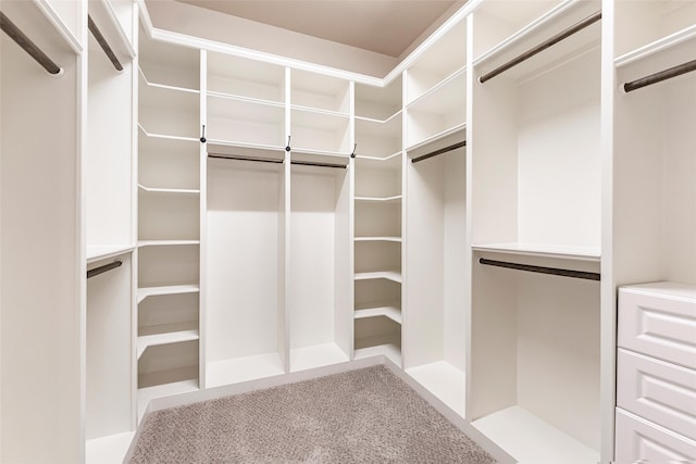 203 Gaillardia Ct, Pinehurst, TX 77362 - spacious closet featuring carpet flooring